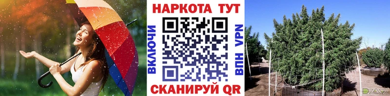Купить наркотик аптеки Верхотурье Амфетамин  Каннабис  Кокаин  Мефедрон  ГАШИШ 