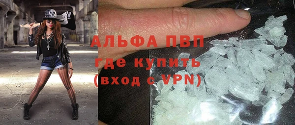 ПСИЛОЦИБИНОВЫЕ ГРИБЫ Инсар