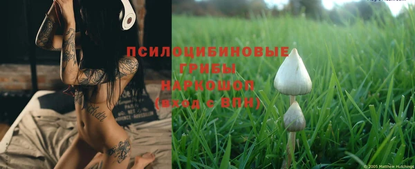 MESCALINE Белокуриха